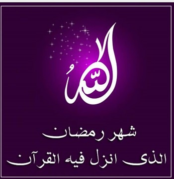 اخبار و اطلاعیه