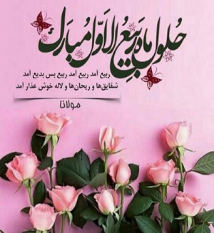 اخبار و اطلاعیه
